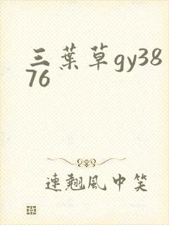 三叶草gy3876封面