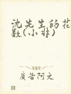 沈先生的花式调数(小非)