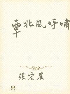 西北风呼啸的中午