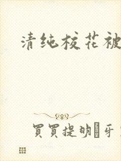 清纯校花被c封面