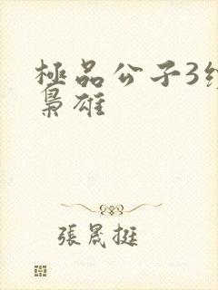 极品公子3续世枭雄