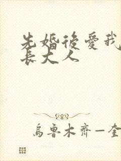 先婚后爱我的市长大人