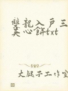 双龙入户三人行夹心饼txt