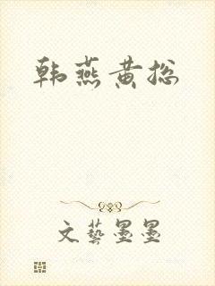 韩燕黄总封面