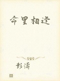 命里相逢