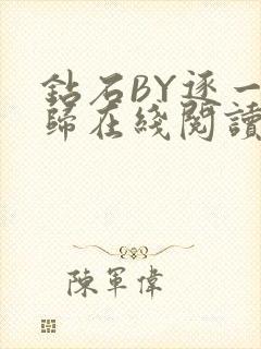 钻石BY逐一而归在线阅读