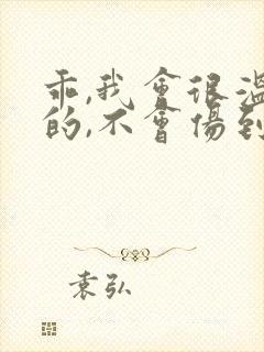 乖,我会很温柔的,不会伤到你小说封面