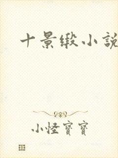 十景缎小说封面