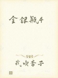金银瓶4