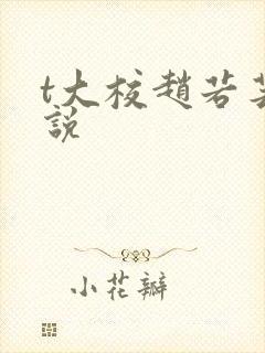 t大校赵若芸小说封面