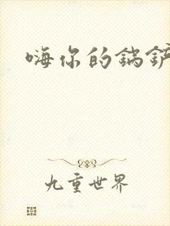 嗨你的锅铲封面