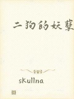 二狗的妖孽人生封面