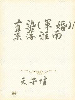 有染(军婚)/叶落淮南