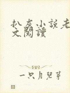 扒灰小说老马全文阅读封面