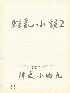 杂乱小说2