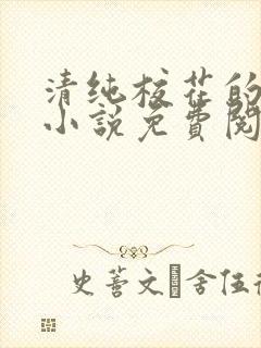 清纯校花的秘密小说免费阅读