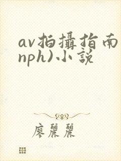 av拍摄指南(nph)小说封面