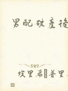 男配破产后封面