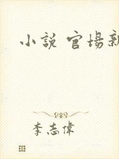 小说 官场新贵