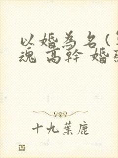 以婚为名 (军魂 高干 婚恋)