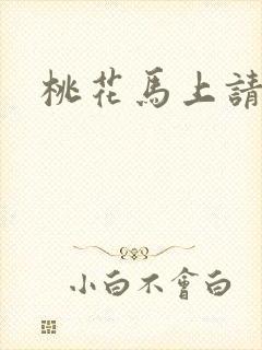 桃花马上请长缨封面