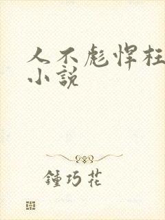 人不彪悍枉少年小说封面