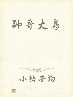 帅哥大鸟