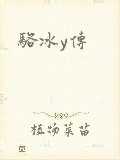 骆冰y传