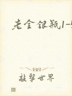 老金银瓶1-5