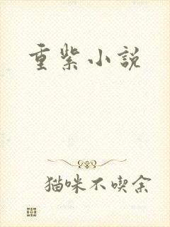 重紫小说