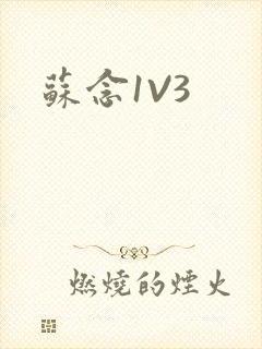 苏念1V3封面