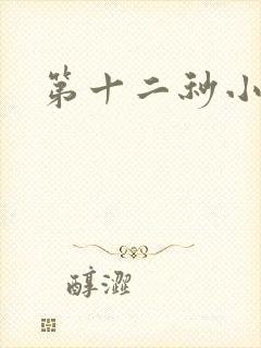 第十二秒小说封面