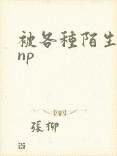 被各种陌生人 np