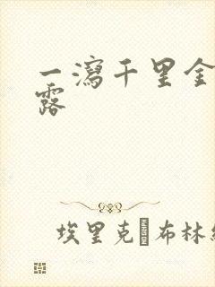 一泻千里金银花露封面