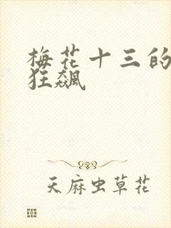 梅花十三的乳液狂飙