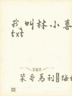 我叫林小喜小说txt