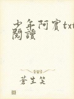 少年阿宾txt阅读封面