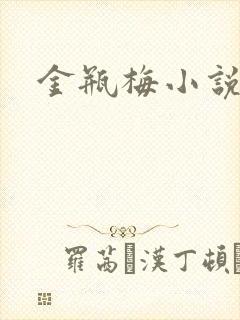 金瓶梅小说下载