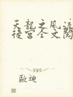 天龙之风流猎艳后宫全文阅读封面