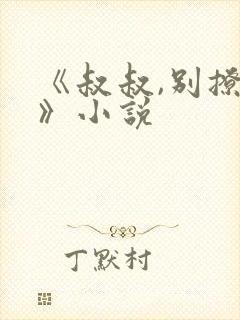 《叔叔,别撩我》小说封面