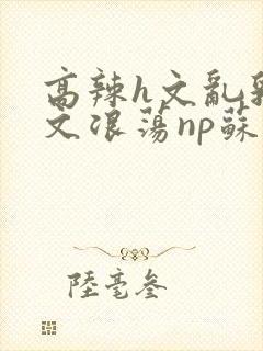 高辣h文乱乳h文浪荡np苏夏封面