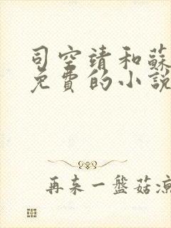 司空靖和苏月汐免费的小说笔趣阁