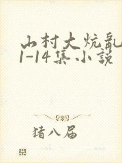 山村大炕乱肉续1-14集小说