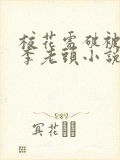 校花处破被灌满李老头小说