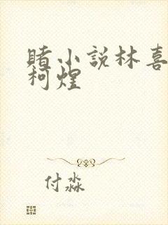 赌小说林喜朝和柯煜