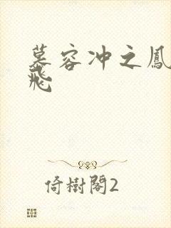 慕容冲之凤凰于飞封面