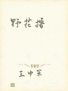 野花撸封面