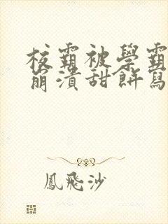 校霸被学霸玩到崩溃甜饼写手封面