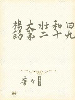 杨大壮和田桂花的第二十九