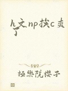 h文np挨c爽了